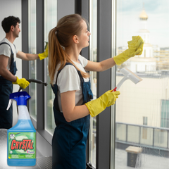 Streak-free professional window and glass cleaning solutions for commercial buildings.